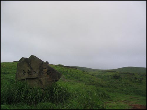 표지석 앞에 차를 세우면 좁은 등산로 길이 있습니다. 